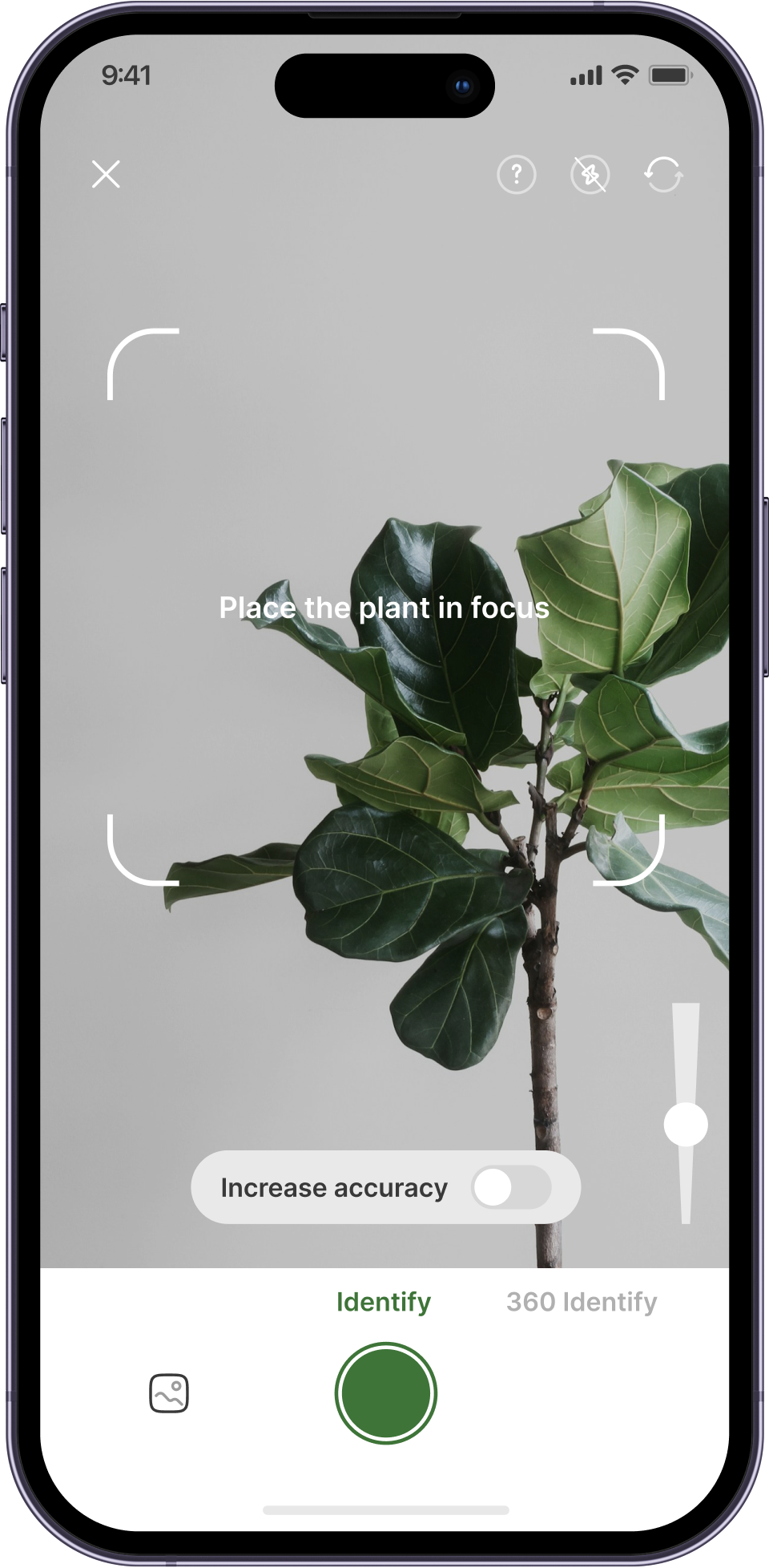 Plantful App - Plant Identification Interface